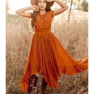 NWT Joyfolie Briley Dress in Spice Sz 8